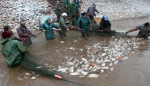      1月20日,江西省婺源县高砂村从事水产养殖