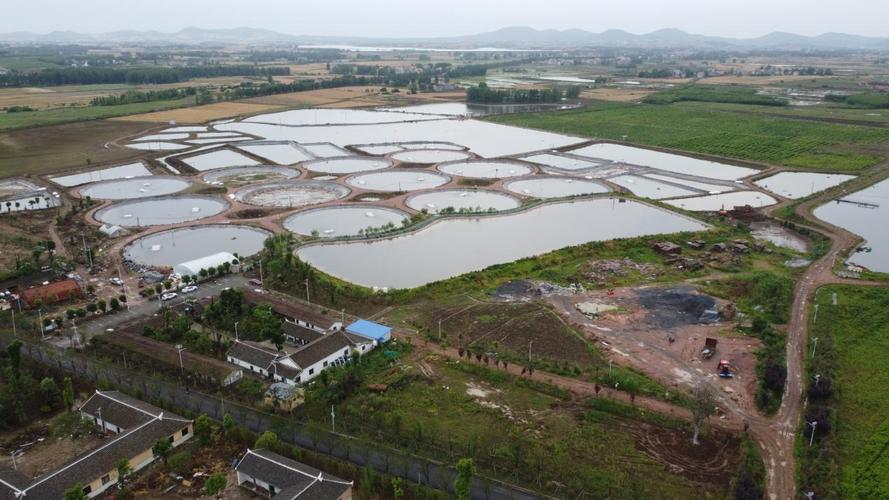 襄州区特色水产品养殖蓬勃发展