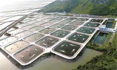 临海:水产健康养殖走在全省前列