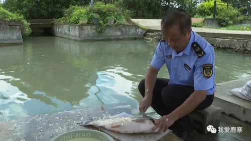 随机抽检水产品 确保群众 舌尖上的安全